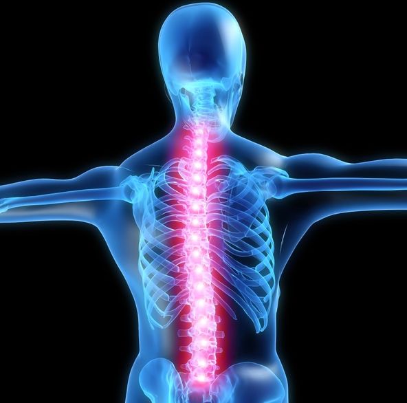 Pain relief through the placebo effect may take place in spinal cord cells