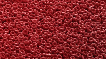 FDA Plans To Lift Lifetime Ban On Gay Men Donating Blood