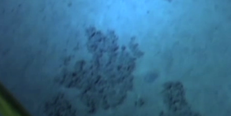 Video: The First Footage from James Cameron’s Record-Setting Dive to Challenger Deep