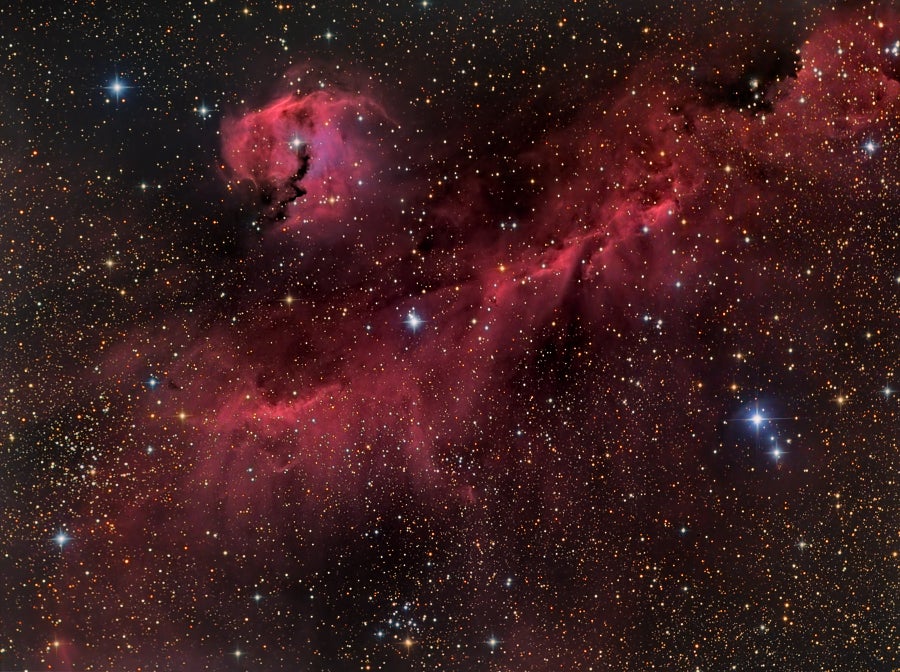 This image of the Seagull Nebula's 100-light-year wingspan was NASA's <a href="http://apod.nasa.gov/apod/ap120308.html">Astronomy Picture of the Day</a> yesterday.