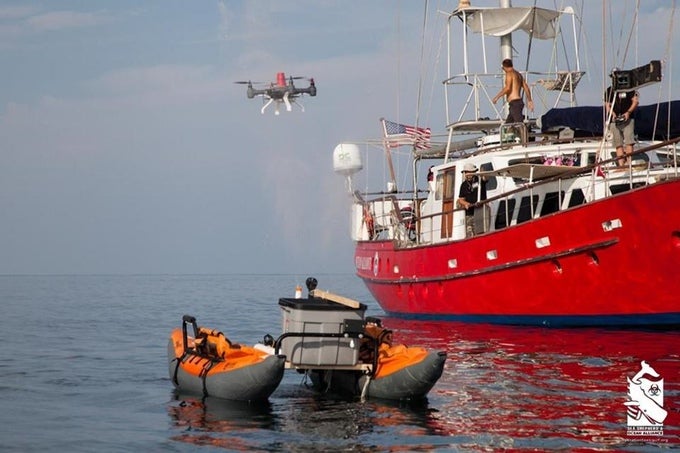 Scientists Want To Use Drones To Capture Whale Snot