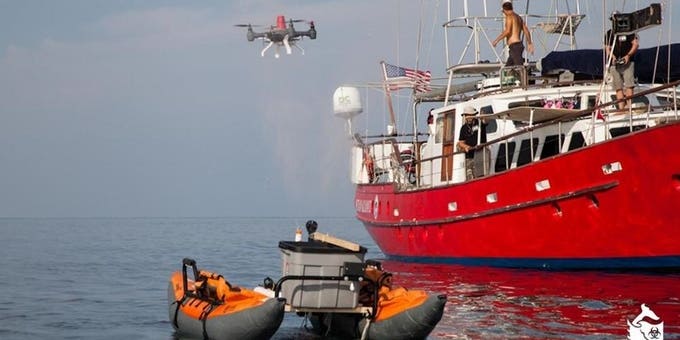 Scientists Want To Use Drones To Capture Whale Snot