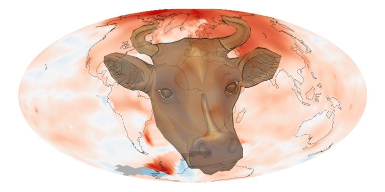 Ruminating Climate Change & the Criminal Cow