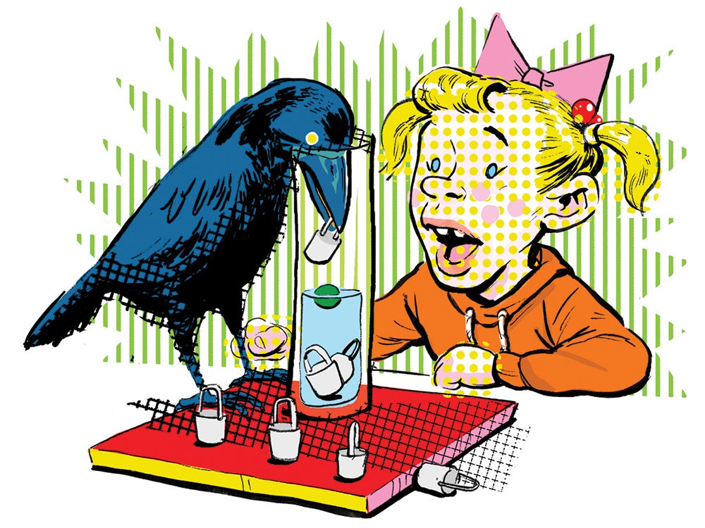 Crow intelligence experiment in front of a kid with pigtails. Illustrated.