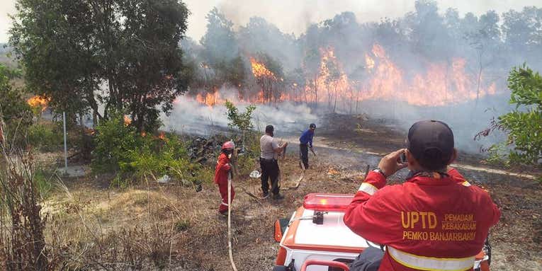 Toxic Smoke Chokes Indonesia