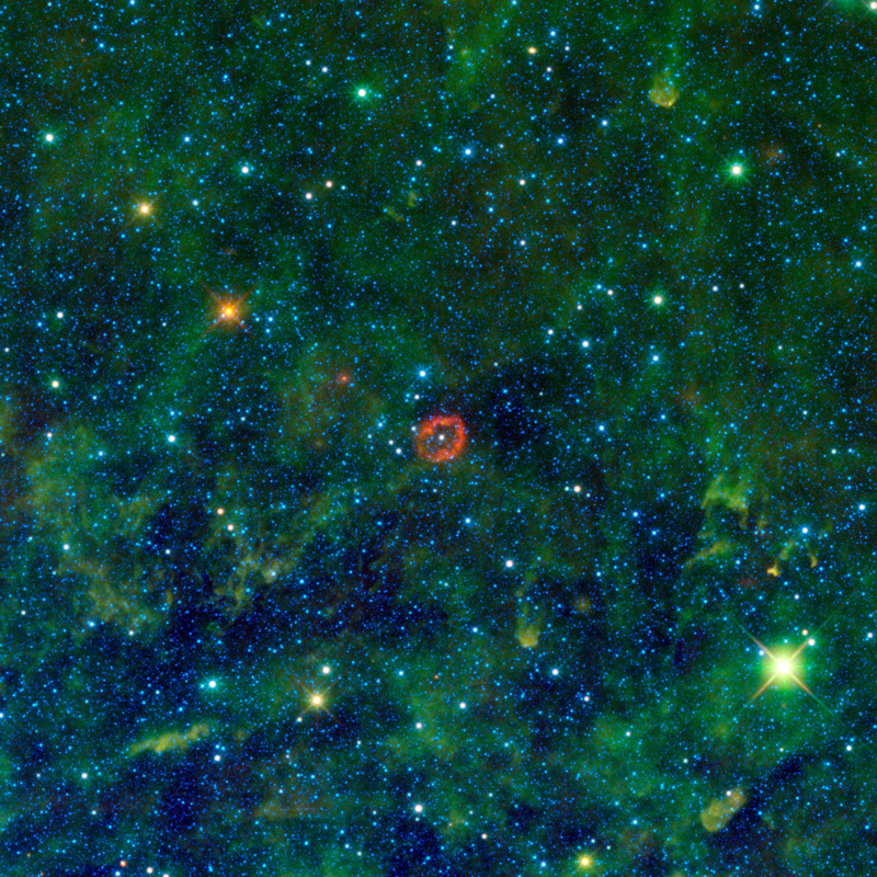 The red-colored object in this June 2010 WISE image is a sphere of stellar innards, blown out from a humongous star. The star (white dot in center of red ring) is one of the most massive stellar residents of the Milky Way Galaxy.