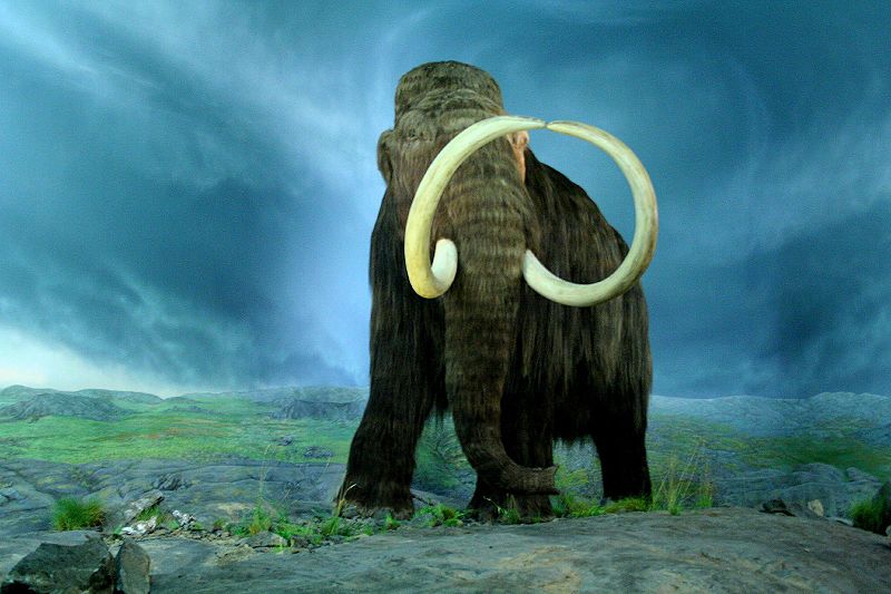 Mammoth (DNA) Resurrection
