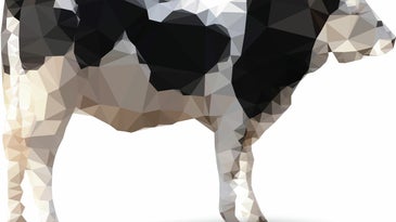 How Science Will Make Cows Obsolete