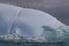 An iceberg in Antarctica's South Shetland Islands