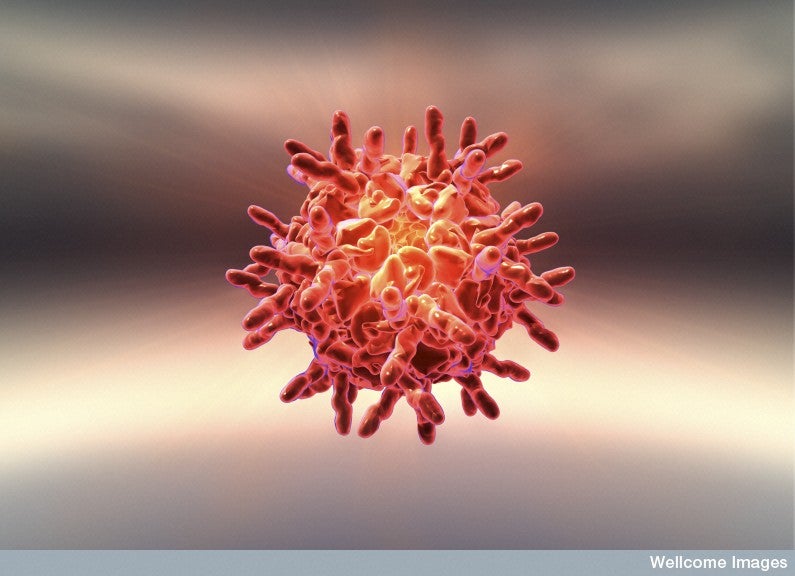 B0006938 Common cold virus Credit: Anna Tanczos. Wellcome Images images@wellcome.ac.uk http://images.wellcome.ac.uk Human rhinovirus, the virus that causes the common cold, showing the structure of its protein coat. Digital artwork/Computer graphic 2008 Published: - Copyrighted work available under Creative Commons by-nc-nd 2.0 UK, see http://images.wellcome.ac.uk/indexplus/page/Prices.html
