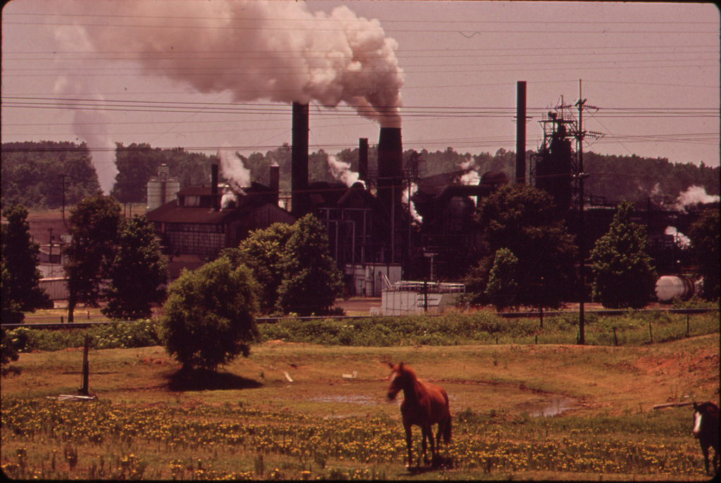 horse in front of chemical company