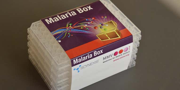 Nonprofit Sends Free Kits Of Potential Malaria Cures To Researchers