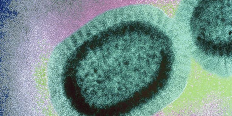 Influenza B is trying to escape our vaccine