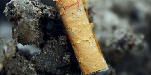 New Use for Cigarette Butts Makes Them Suddenly Worth the Cost of Recycling