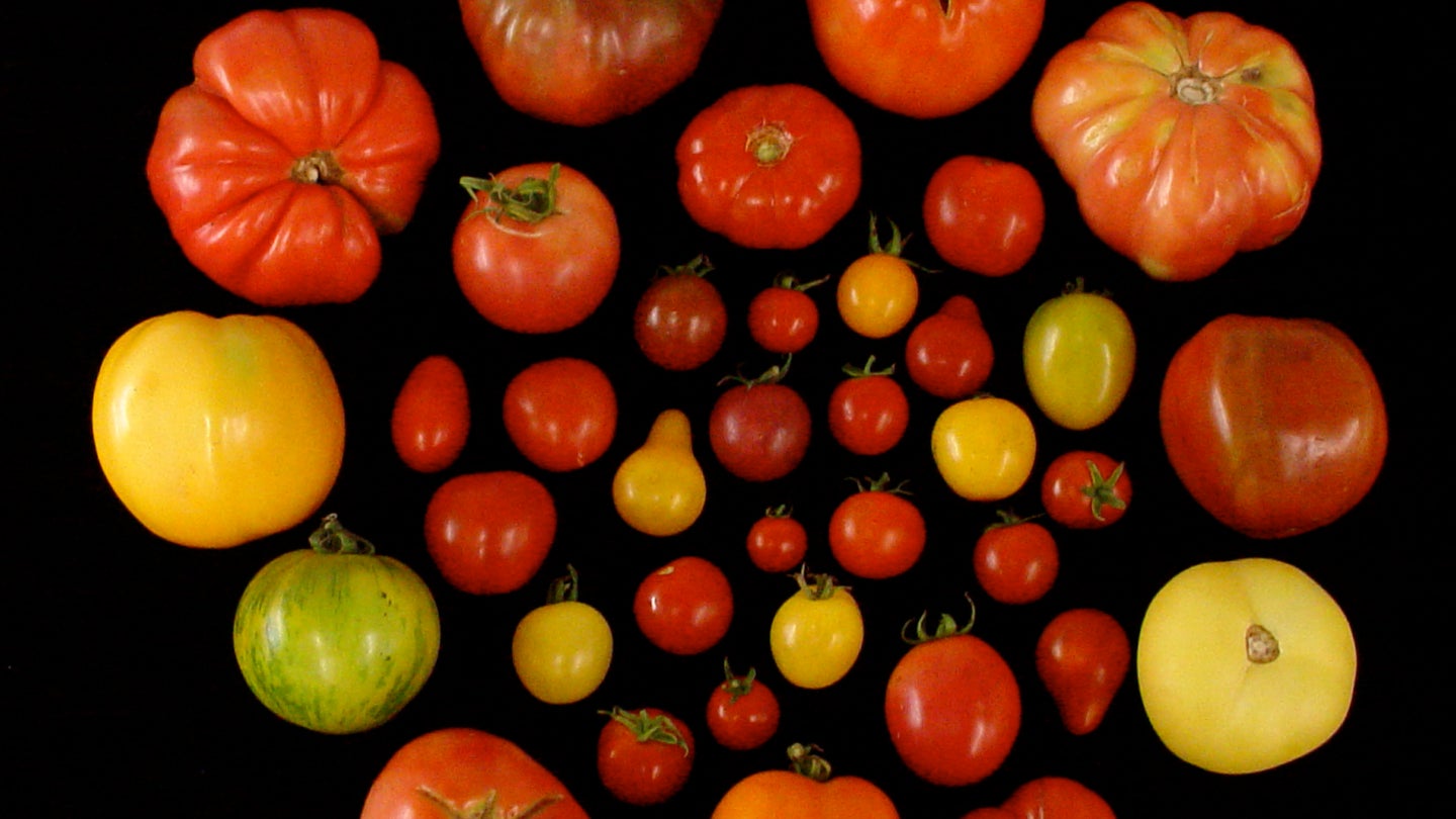 Here’s how scientists are tricking you into eating your veggies
