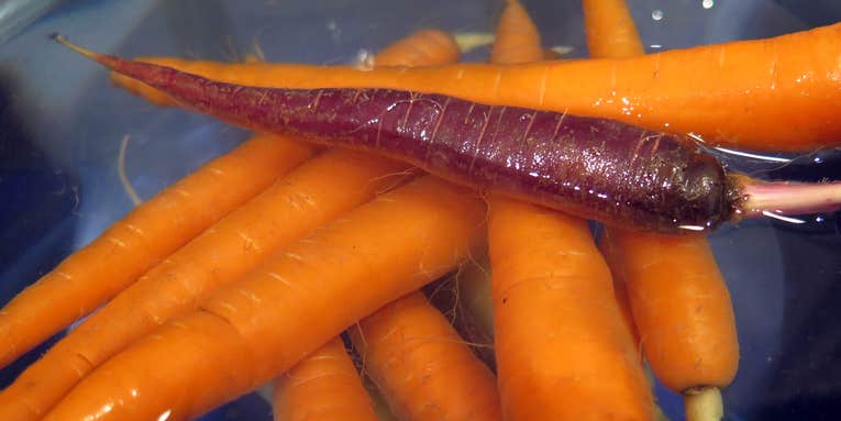 WTF are purple carrots and where did they come from?