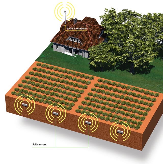 Underground soil sensors give farmers a real-time view of their fields' conditions