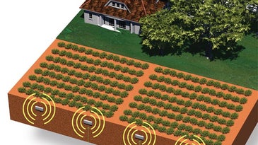 The Future of Farming: Eight Solutions For a Hungry World