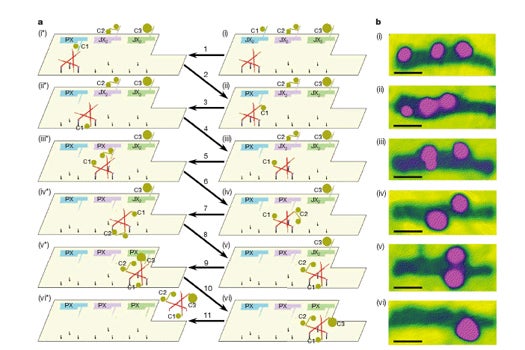 Embedded DNA Commands Let Nanomachines Follow Instructions, Assemble Components