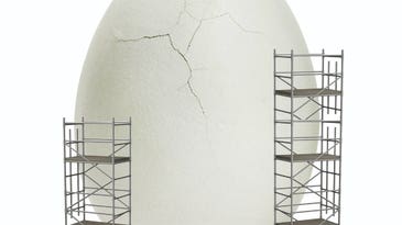 PopSci Q&A: The Quest For The Egg-Free Egg