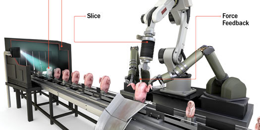 How It Works: The Robotic Chicken Butcher