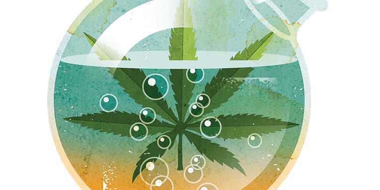 Big Idea For 2016: Marijuana Reaches New Highs