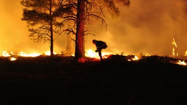 Predicting Wildfires Could Save Lives. So Why Are We So Bad At It?