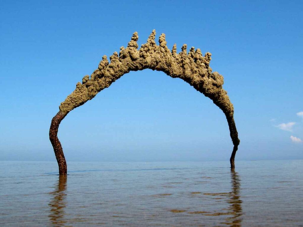 These beautiful but slightly Lovecraftian sandcastles were made by someone with the very un-Lovecraftian name Sandcastle Matt. <em>From May 9, 2014</em>