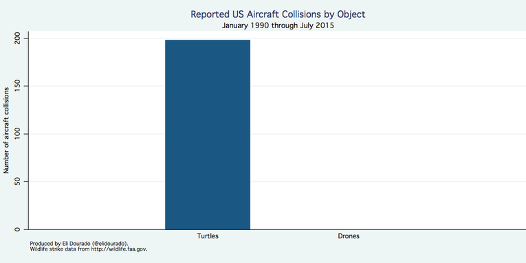 Airplanes Hit More Turtles Than Drones