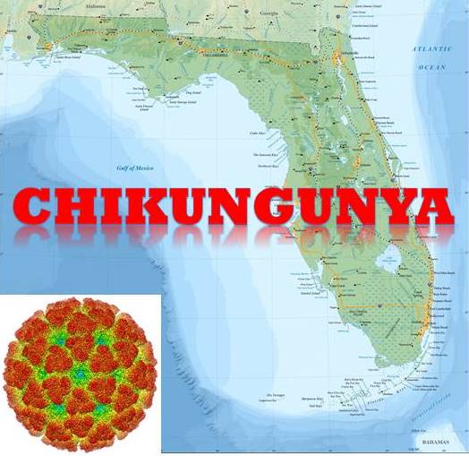 The Inconvenient Immigration of Chikungunya