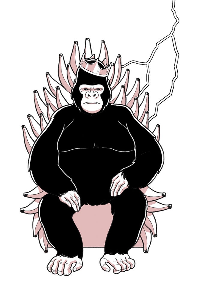 king primate