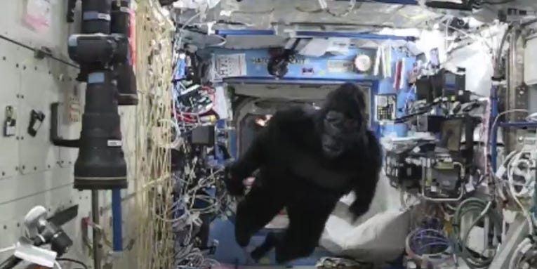 Why Is A Gorilla Aboard The Space Station?