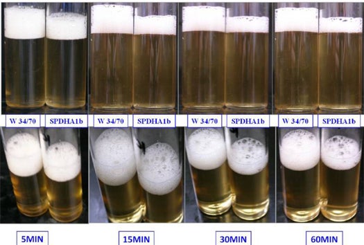 To determine the role of Cfg1p protein on beer foam stability, researchers made a strain of yeast that was lacking the gene associated with that protein. They then brewed beer with normal yeast (left test tube in each picture) and with the yeast lacking the foaming gene (right test tube in each picture).