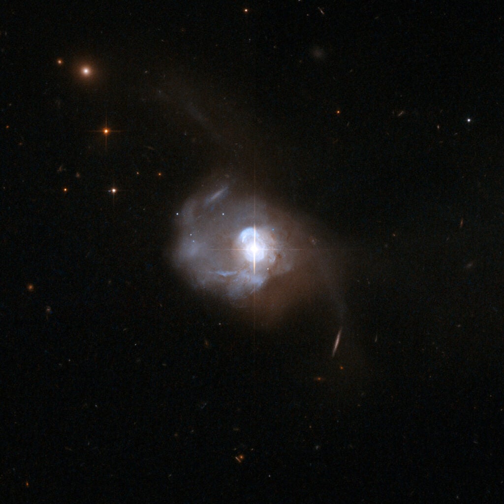The extraordinary galaxy UGC 8058, also known as Markarian 231, was discovered in 1969 as part of a survey searching for galaxies with strong ultraviolet radiation. It has long tidal tails and a disturbed shape. Results from the first spectrum showed clear signs of the presence of a powerful quasar in the center that made Markarian 231 unique in the Markarian sample. Markarian 231 has maintained its reputation as an exceptional object since those early observations and continues to be a favorite target in all wavelength regimes. Its infrared luminosity is similar to that of quasars, making it one of the most luminous and powerful known ultra-luminous infrared galaxies. Although the emission of many ultra-luminous infrared galaxies appears to be dominated by energetic starbursts, Markarian 231 has been repeatedly identified as an exception and many pieces of evidence point toward an accreting black hole as the major power source behind the enormous infrared luminosity. Although the primary power source behind the incredible far-infrared luminosity of Markarian 231 is almost certainly an active nucleus, the galaxy is also undergoing an energetic starburst. Most dramatically a nuclear ring of active star formation with a rate estimated to be greater than 100 solar masses per year has been found in the center. UGC 8058 is located about 600 million light-years away from Earth.