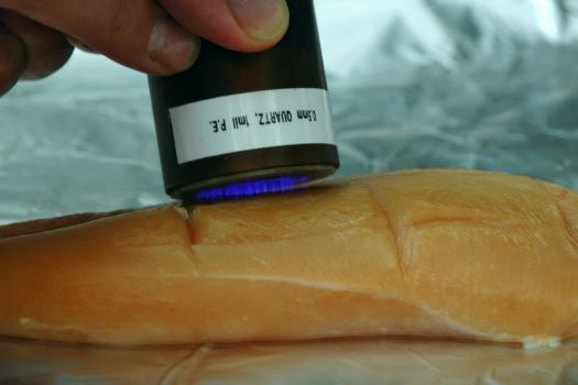 Cool Plasma Torch Kills Germs on Raw Chicken
