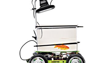 This Robotic Tank Gives Goldfish The Steering Wheel