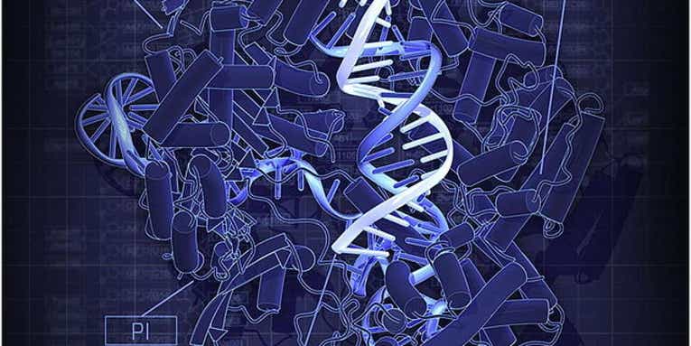 Human patient treated with CRISPR gene editing for the first time