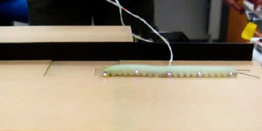 Video: Caterpillar-Inspired Soft Robot Flips Out to Move At Breakneck Speeds