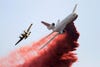 While the Taylor Creek Fire outside Cle Elum, Washington raged, freelance photographer <a href="http://www.sorboimages.com/Home.html">Robert Sorbo</a> snapped this image of a firefighting tanker plane dropping fire retardant on homes. Visit <a href="http://www.americanphotomag.com/photo-gallery/2012/08/photojournalism-week-august-17-2012"><em>American Photo</em></a> for more great photojournalism like this.