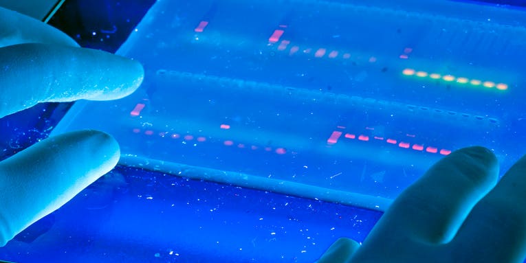 Scientists Detect Which Patients Are Resistant To Genetic Diseases