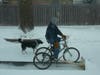 DIY Human-Powered Bike Plow