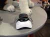 Tagg Plus GPS lets you know when your dog overheats