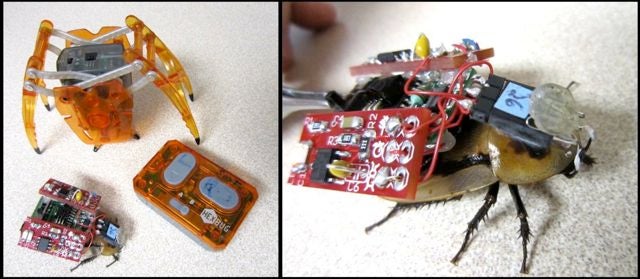 Video: DIY Cyborgify-Your-Own Cockroach Kit Lets You Steer Real Live Bugs Around