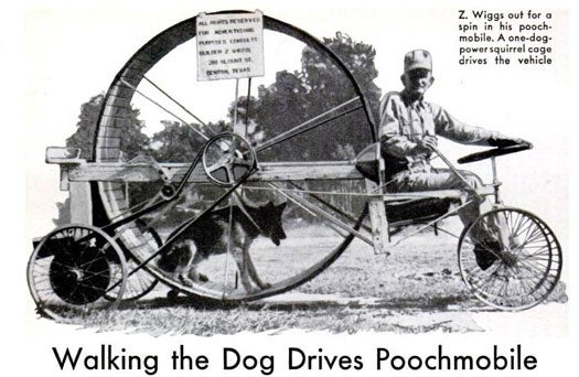 Again, who needs a car when you can have a vehicle powered by an exceptionally strong pet? The so-called "Poochmobile," invented by eighty year-old dog trainer Z. Wiggs, applied the squirrel cage principle to its primary wheel. While the dog ran, a belt and pulley mechanism would turn the rear drive wheels, which were in turn controlled by the driver's "gearshift" lever in the front. Our question is, how did Wiggs get his dog to run around around in that wheel? Dogs aren't hamsters -- wouldn't most breeds just sit there, whining and confused? Read the full story in "Walking the Dog Drives Poochmobile"