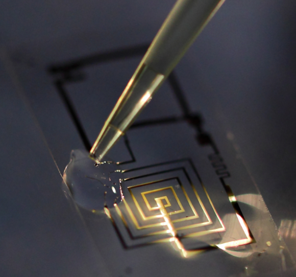 Awesome New Electronics Can Dissolve and Disappear When They’re No Longer Needed