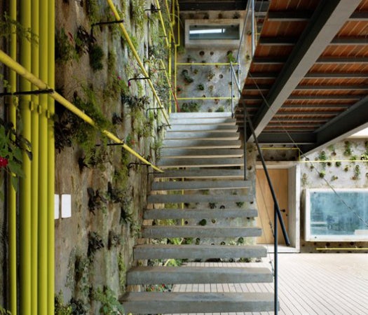 A plant-filled office space in Sao Paulo, Brazil.