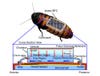 How the fuel cell works