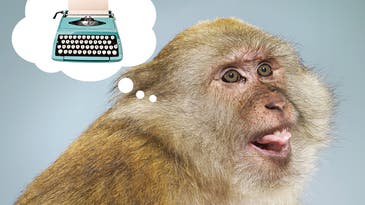 Could a million monkeys with a million typewriters really replicate Shakespeare?