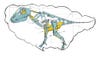 "I'd build a full-size <em>Tyrannosaurus rex</em> robot that a person can ride in. I've spent hours studying the <em>T. rex</em> skeleton at the Museum of Natural History in New York, and the proportions of the skull appear just about perfect for a reclined seat. The machine would be able to run and jump, not just shuffle like current robots. It would be powered by a turbine engine driving high-speed hydraulics. Control would rely on the balance and reflexes of the pilot rather than automatic stabilization." --Robert Victor, Contributor to the Nerf Vortex