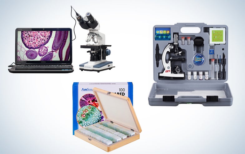 AmScope microscope kits